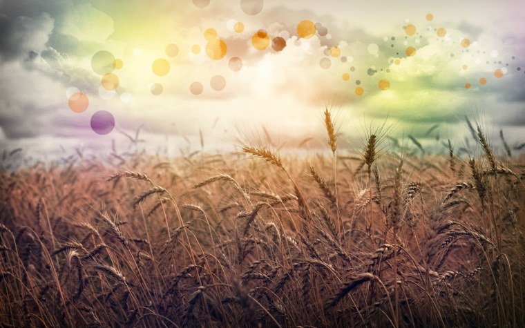 Обложка для Facebook