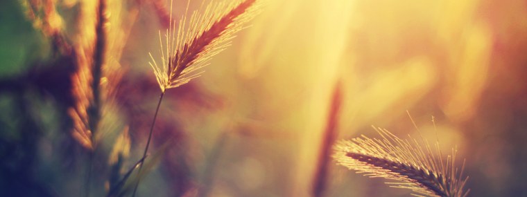 Обложка для фейсбука