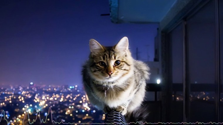 Скайлайн Чикаго