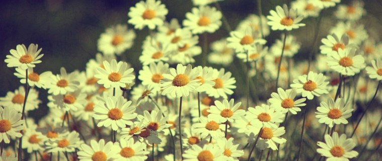 Обложка для фейсбука