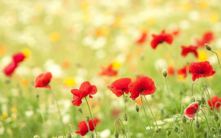 Обложка для фейсбука