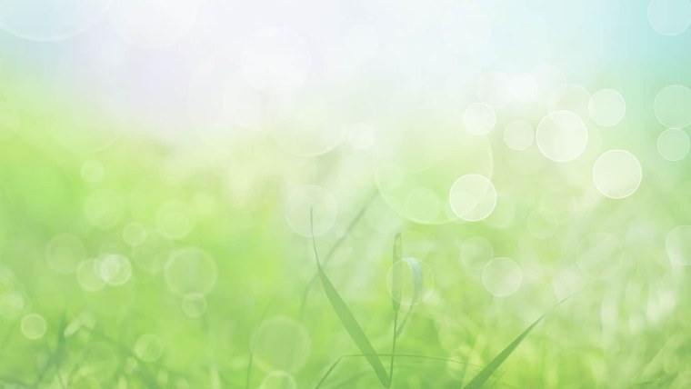 Тёмно зелёный фон