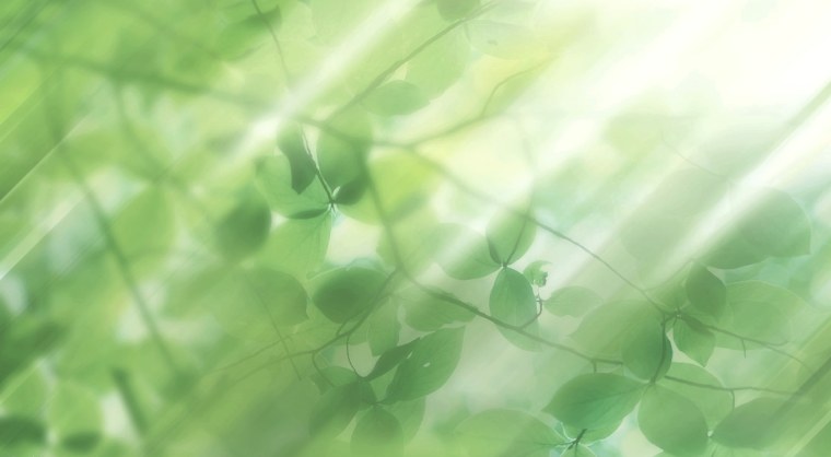 Нейтральный фон