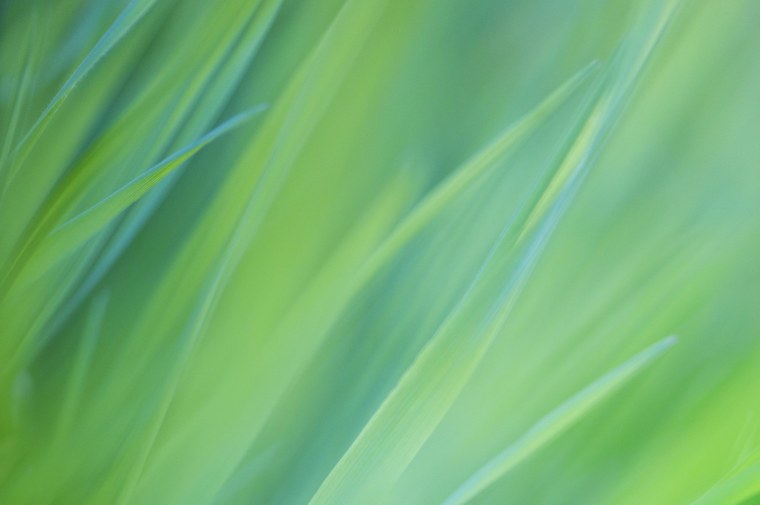 Обои приятные для глаз