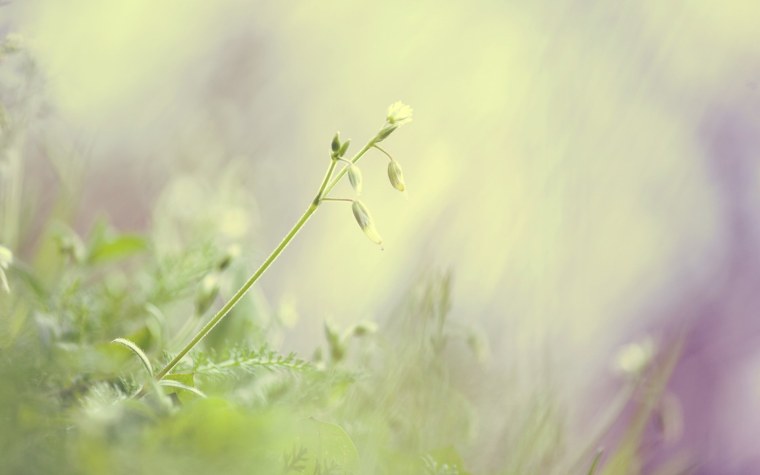 Красивый градиент