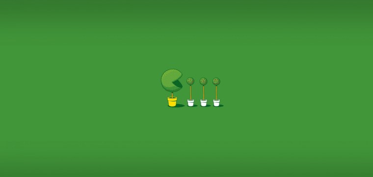 Темно-зеленый фон однотонный