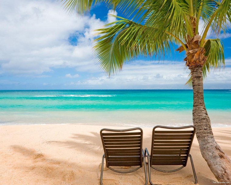 Пляж с пальмами