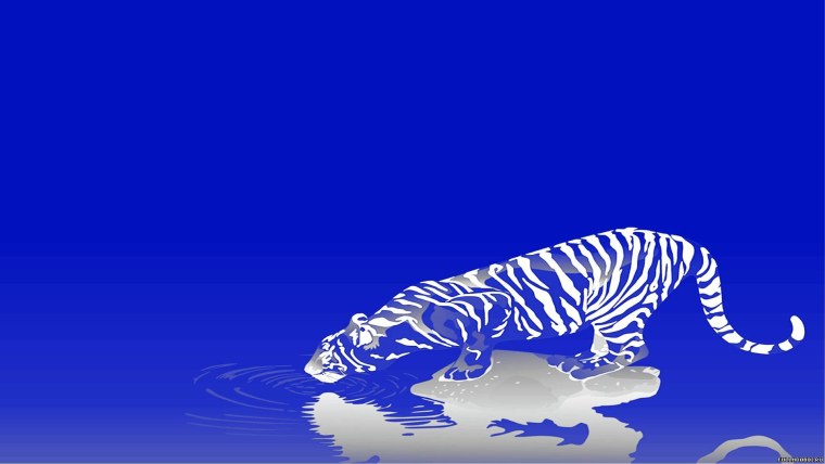 Водяной Тигренок 2022