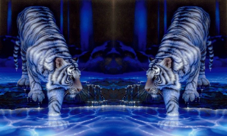 2022 Год черного водяного тигра