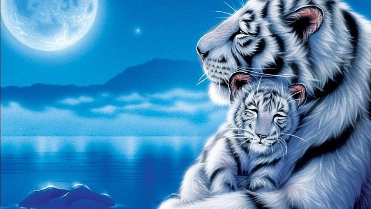 Кентаро Нишино тигры