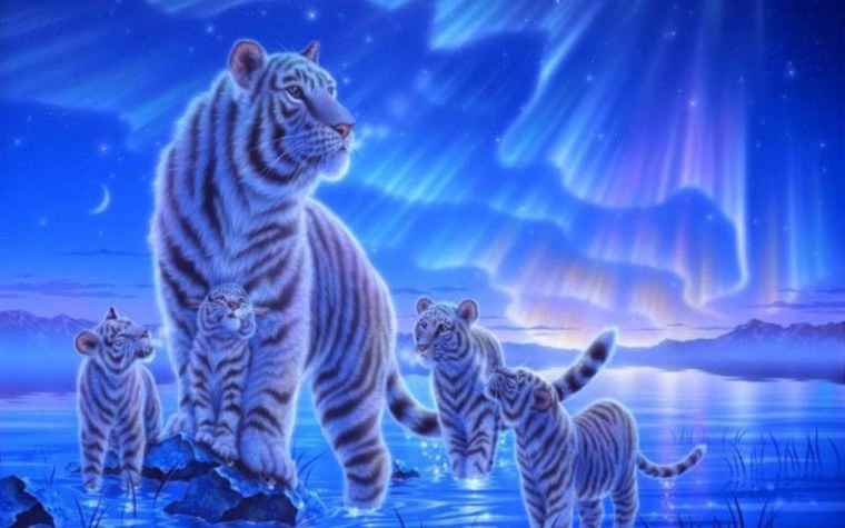 Panasonic TX-32fsr500