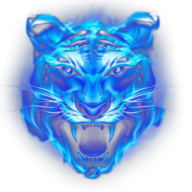 Год водяного тигра 2022