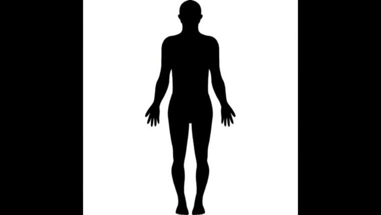 Силуэт человека