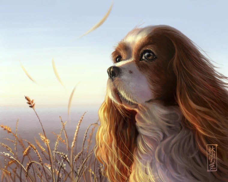 Алмазная мозаика кавалер Кинг Чарльз спаниель