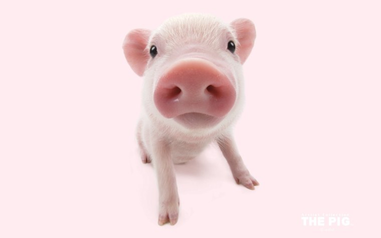 Гравити Фолз мейл и Пухля