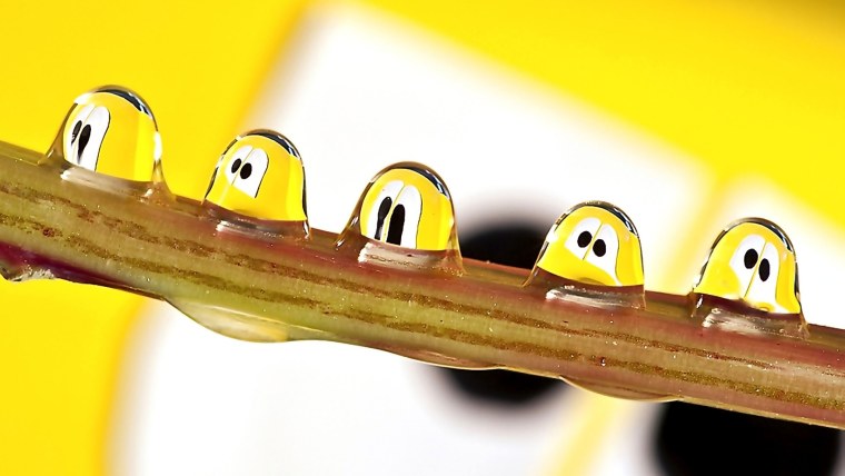 Позитивные фотообои