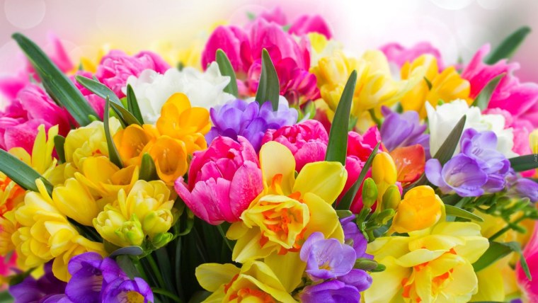 Клевер четырехлистный Святой Патрик