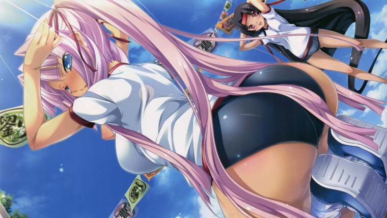 Koihime Musou Shin новелла