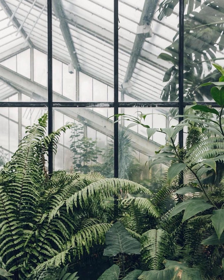 Ассоциации с зеленым цветом