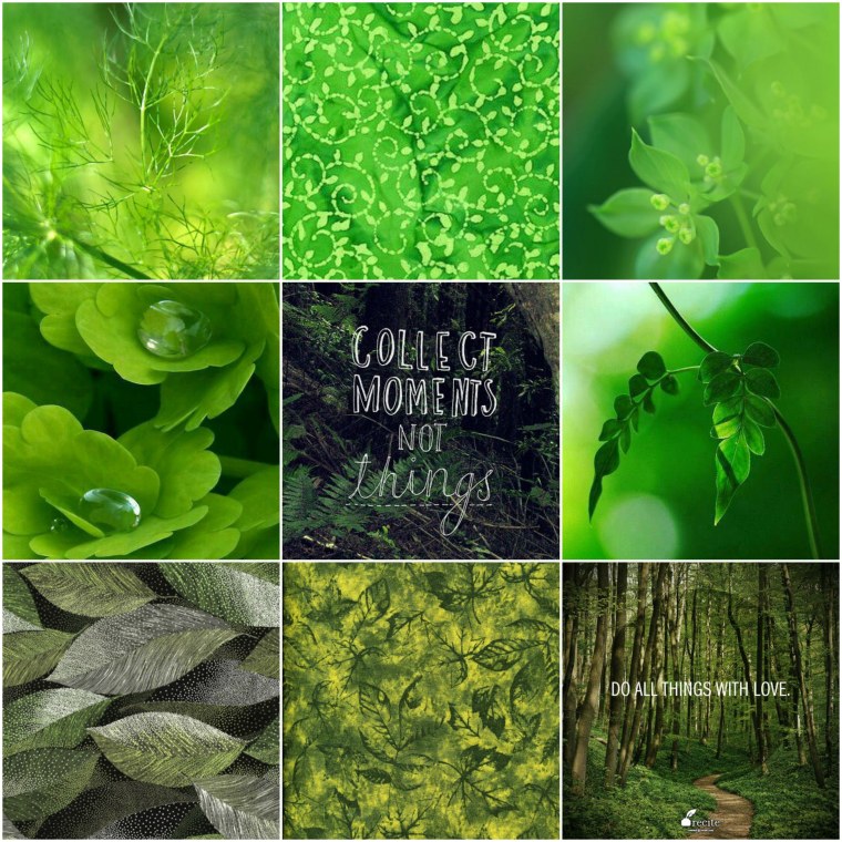 Эстетика зелёного цвета