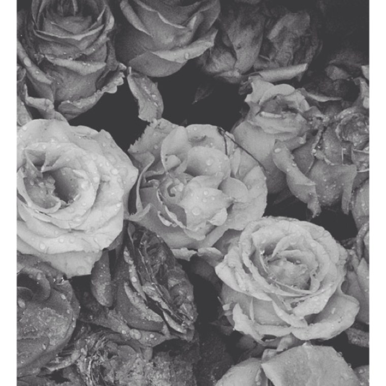 Эстетика зеленого и белого