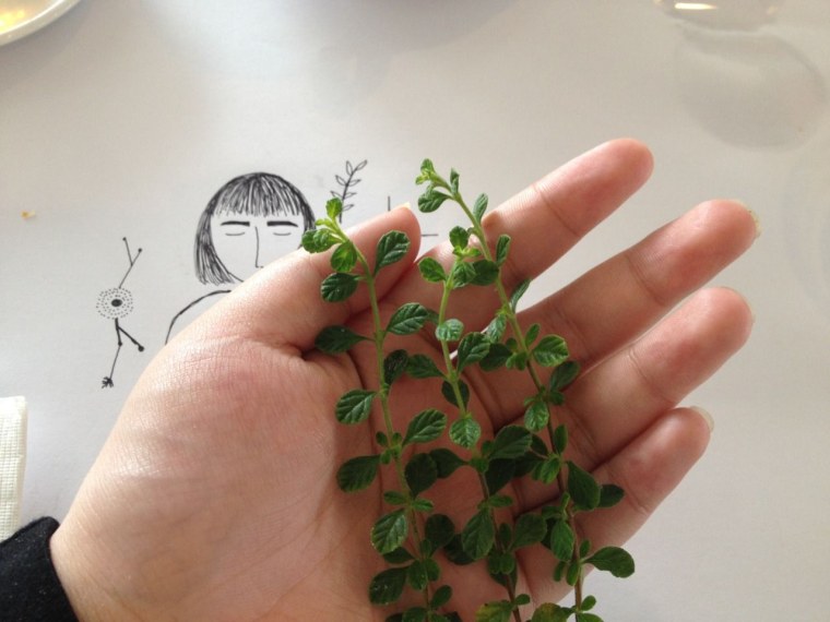 Эстетика в зеленых тонах одежда