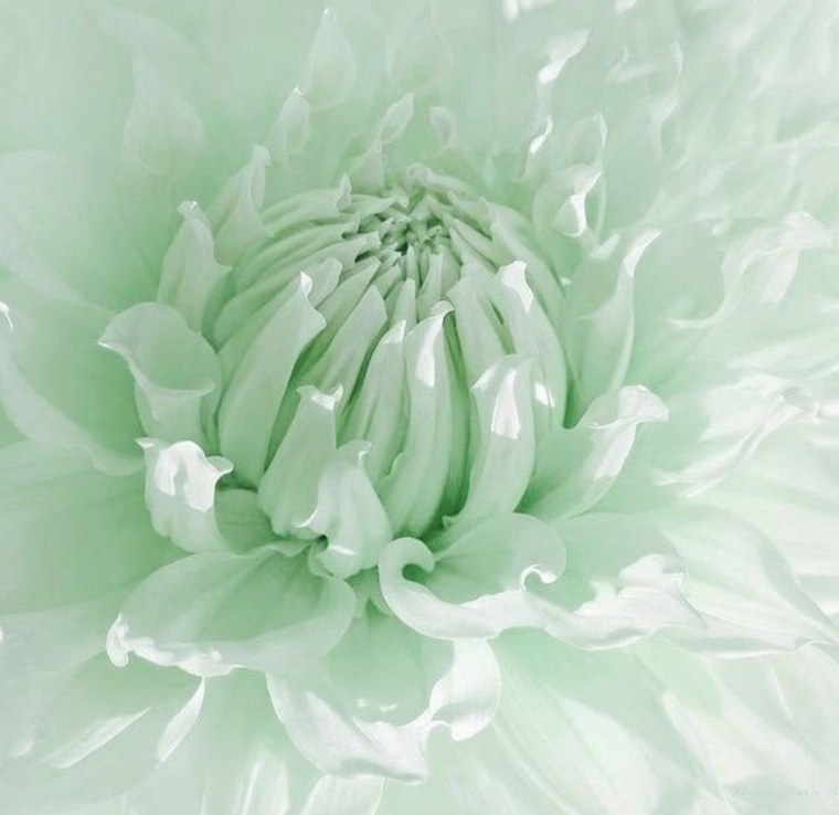 Эстетика зелёного ярко