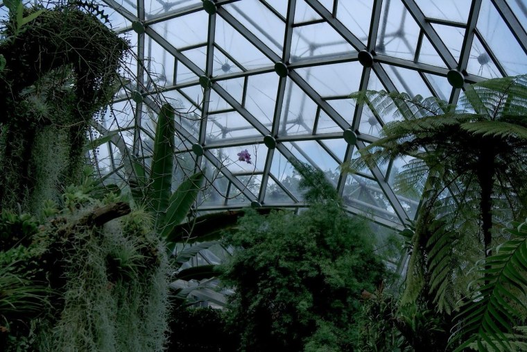 Эстетика в зеленых тонах одежда