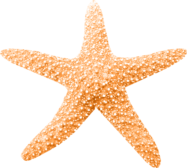 Оранжевая морская звезда