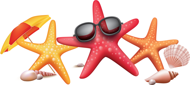 Морская звезда без фона