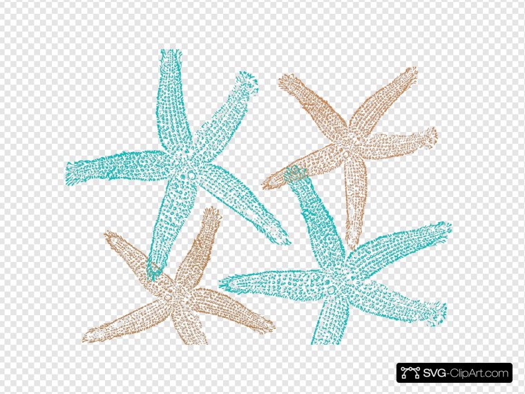 Красная морская звезда на белом фоне