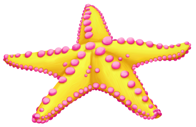 Морская звезда на белом фоне