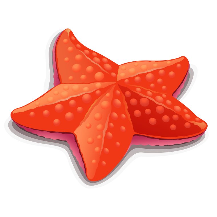 Ракушка для детей