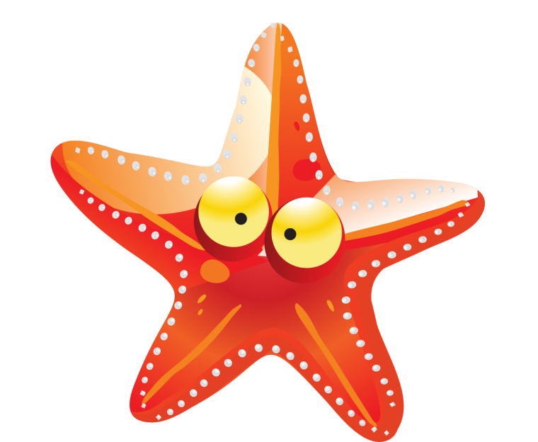 Морская звезда без фона