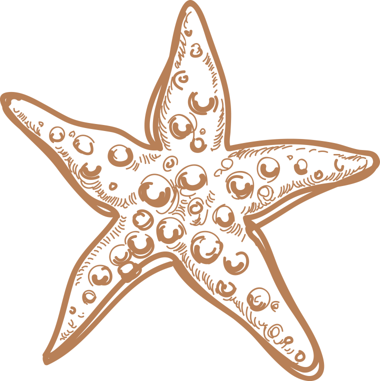 Морская звезда