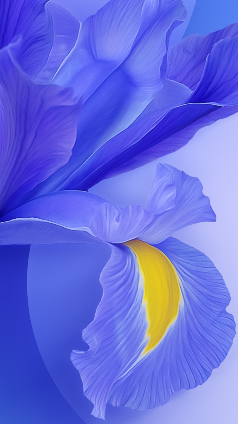 Обои Сяоми редми