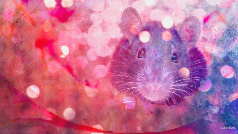 Милые рисунки