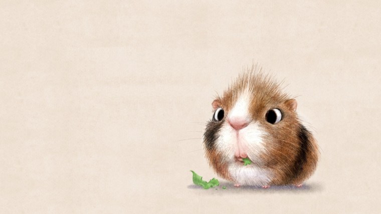 Маленькие хомячки джунгарики