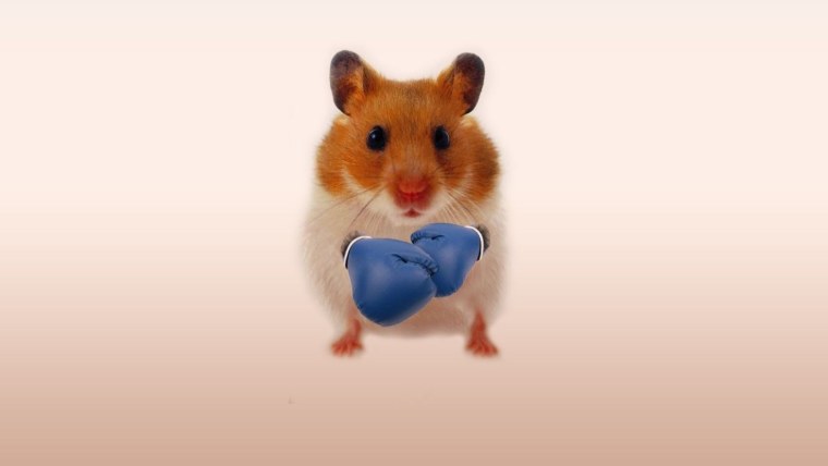 Милый хомяк арт