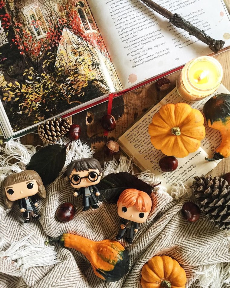 Осень Эстетика Гарри Поттер