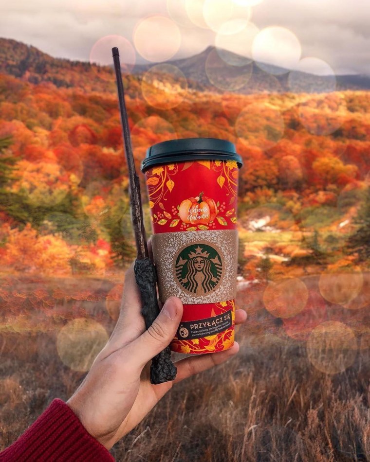 Осень в Хогвартсе