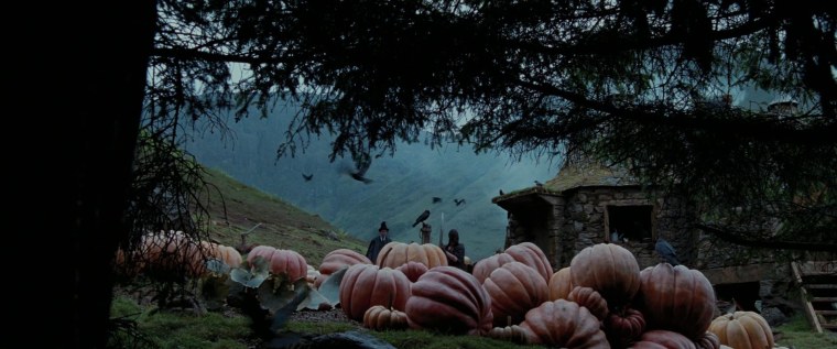 Хагрид Эстетика