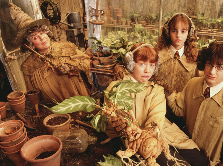 Помона стебль Гарри