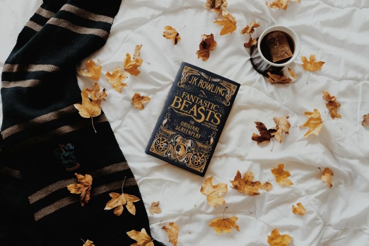 Гарри Поттер Эстетика книг осень