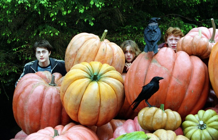 Гарри Поттер и узник Азкабана кадры с тыквами