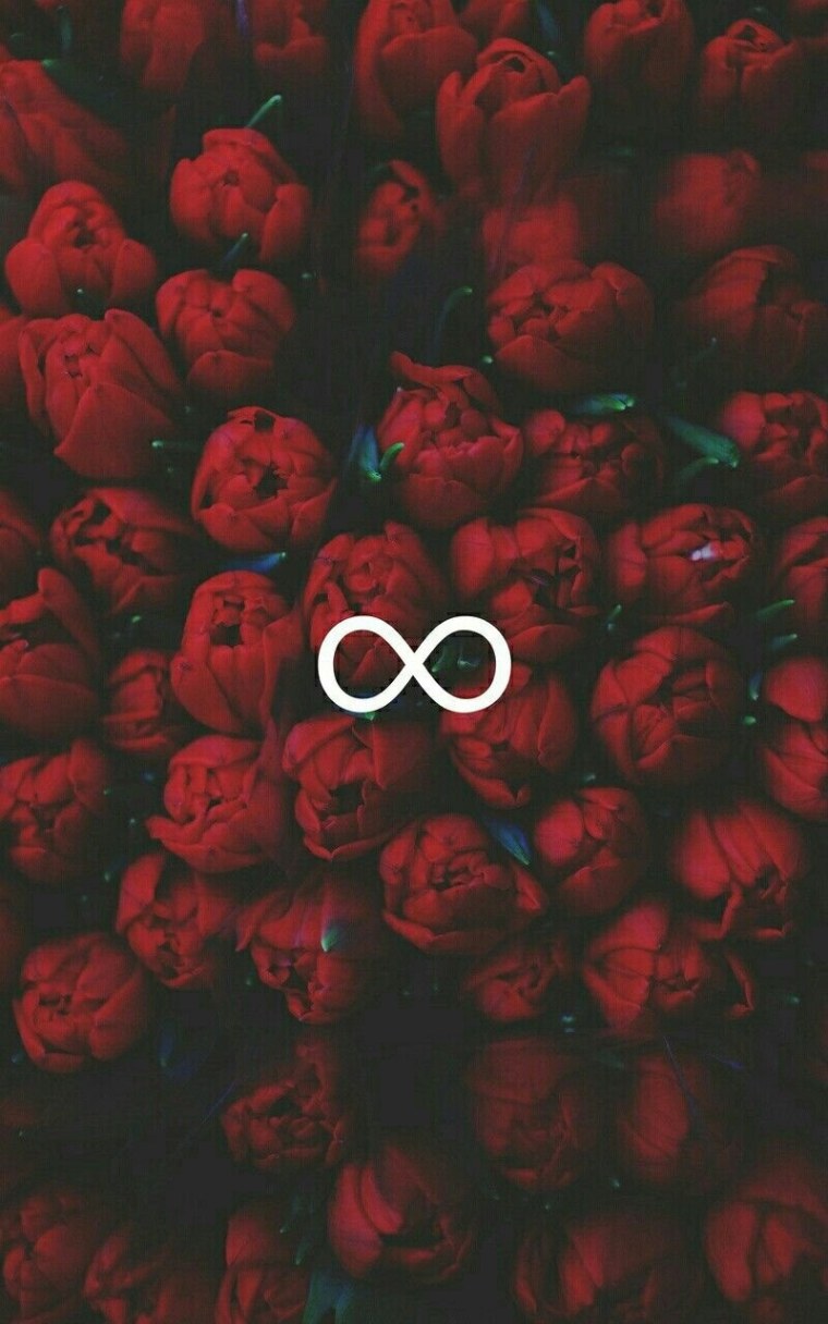 Фон для сторис розы