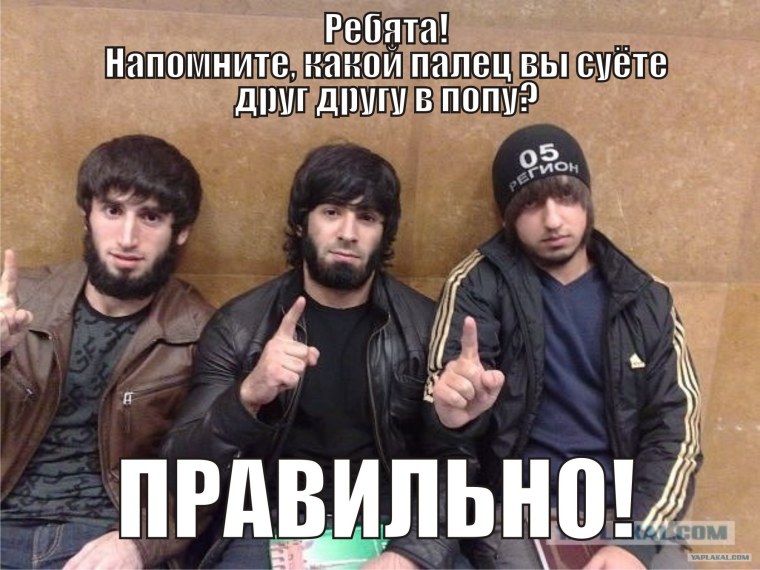 Суета чурка