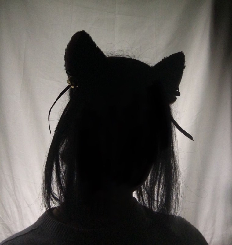 Тень в капюшоне