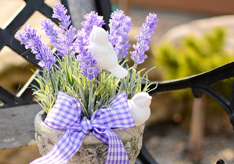 Цветы "Лаванда Горная"