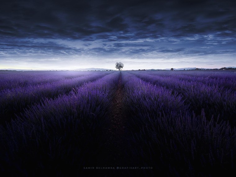Лавандовое небо